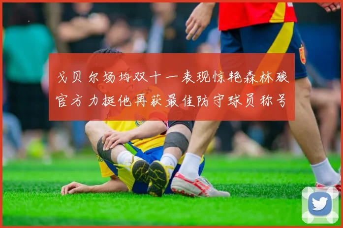 戈贝尔场均双十一表现惊艳森林狼官方力挺他再获最佳防守球员称号